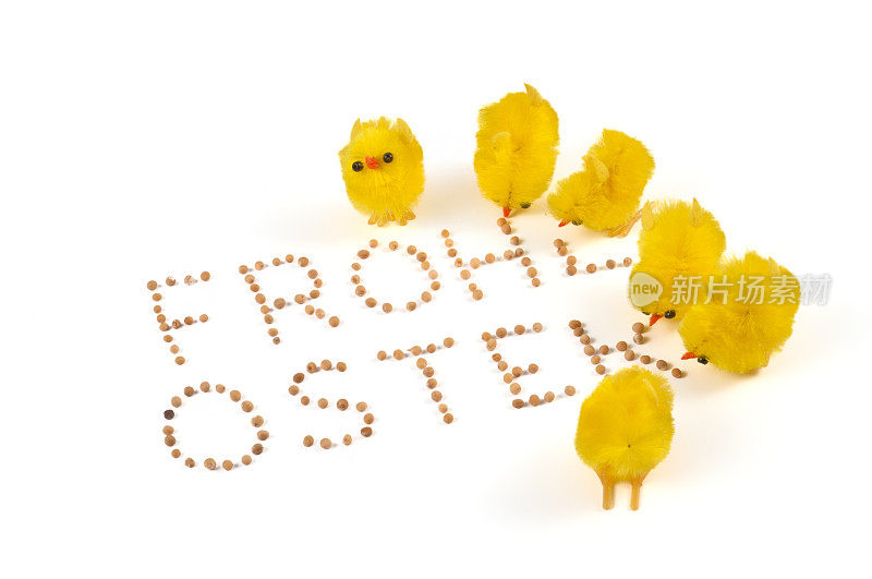 毛茸茸的复活节鸡，用德语单词——Frohe Ostern